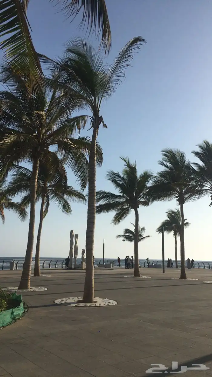 iPhone 6 للبيع 6