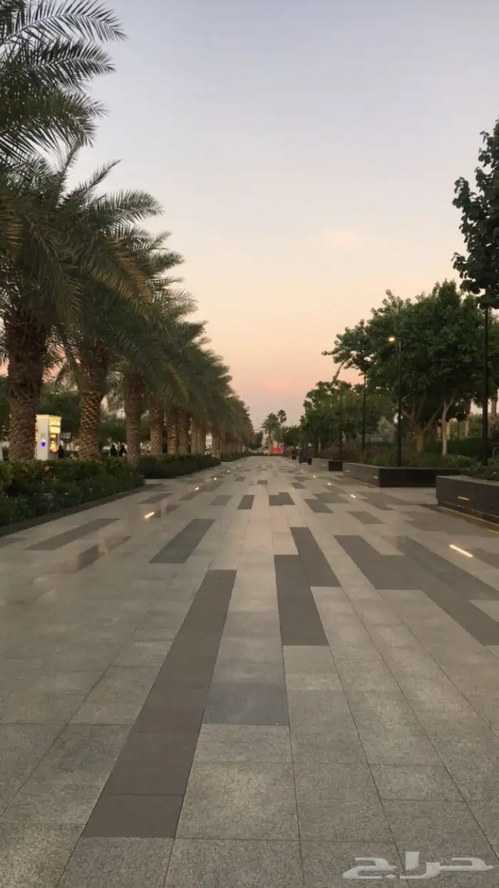 iPhone 6 للبيع 8