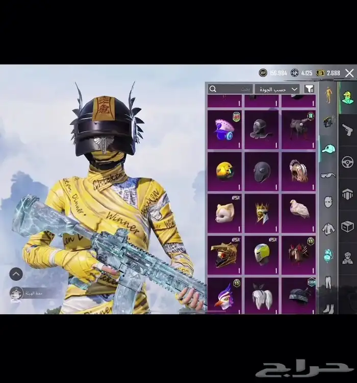 حساب ببجي 13