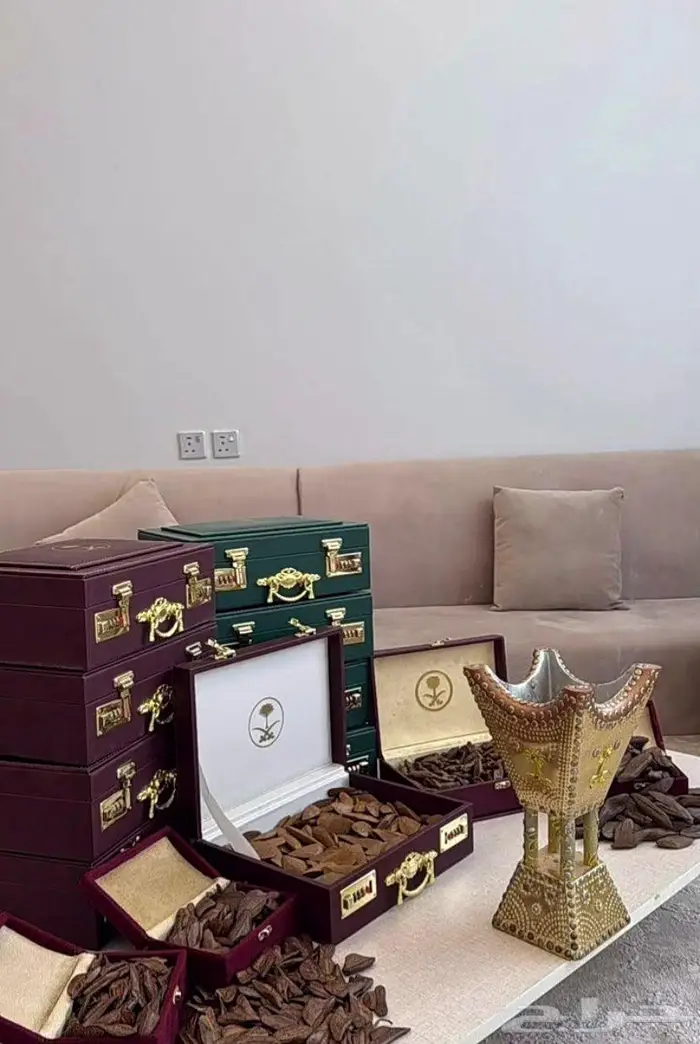 العود الازرق الملكي تبوك 7