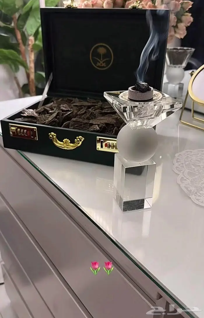 العود الازرق الملكي تبوك 8