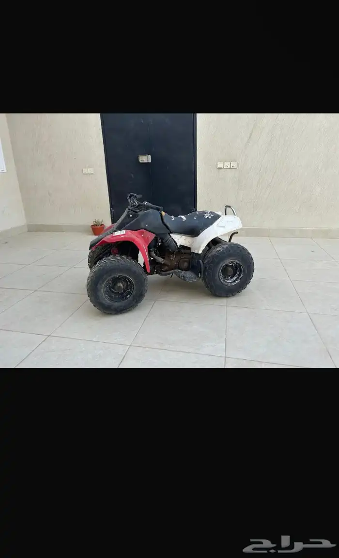 دباب 1