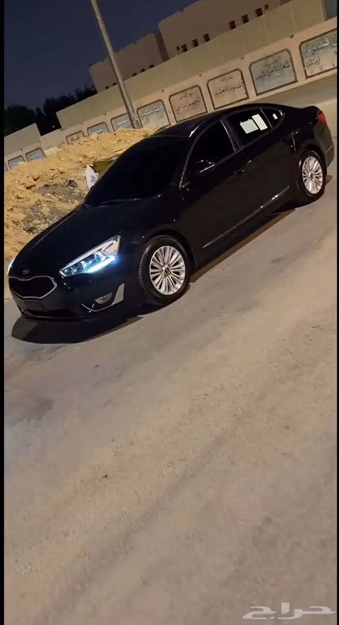 مطلوب كادينزا 2016 0