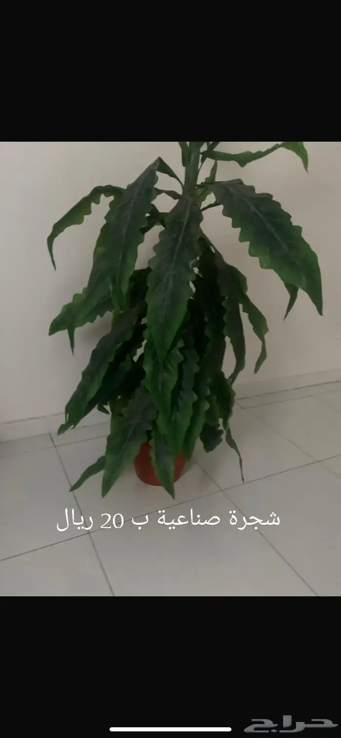 مجموعه منزليه 10