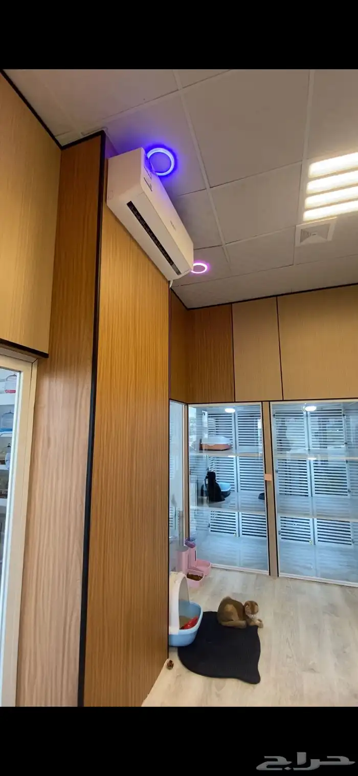 فندقة قطط vip بسعر رمزي وتحت مسؤليتنا منذو الاستلام لتسليم 4