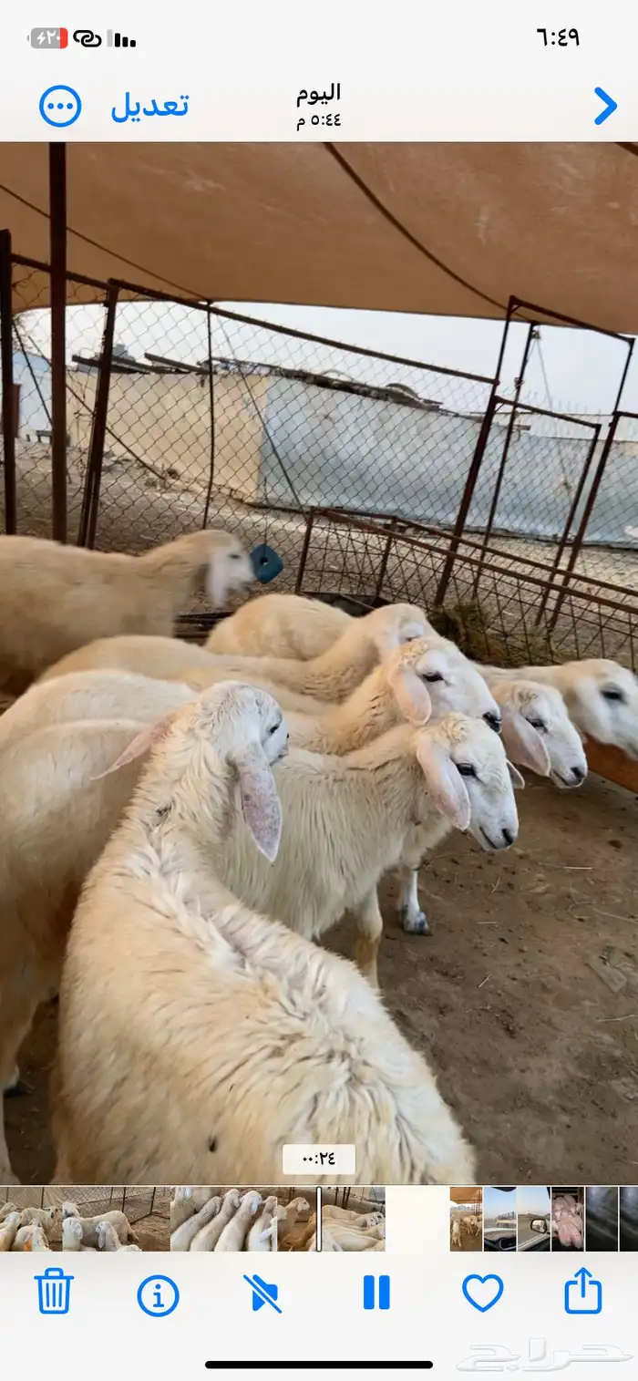 بهم طيب نضيف شرط 2