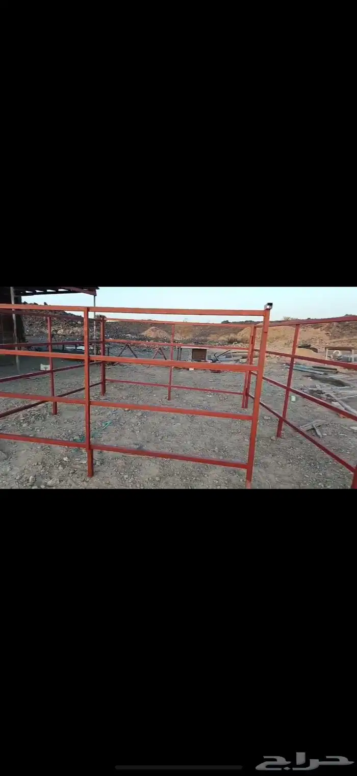 شبوك للإبل 0