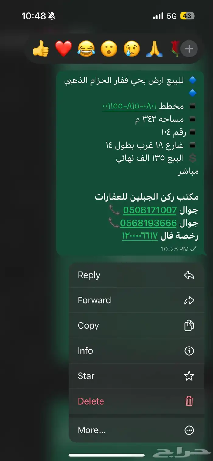 للبيع ارض قفار الحزام الذهبي المواصفات بالصور 0