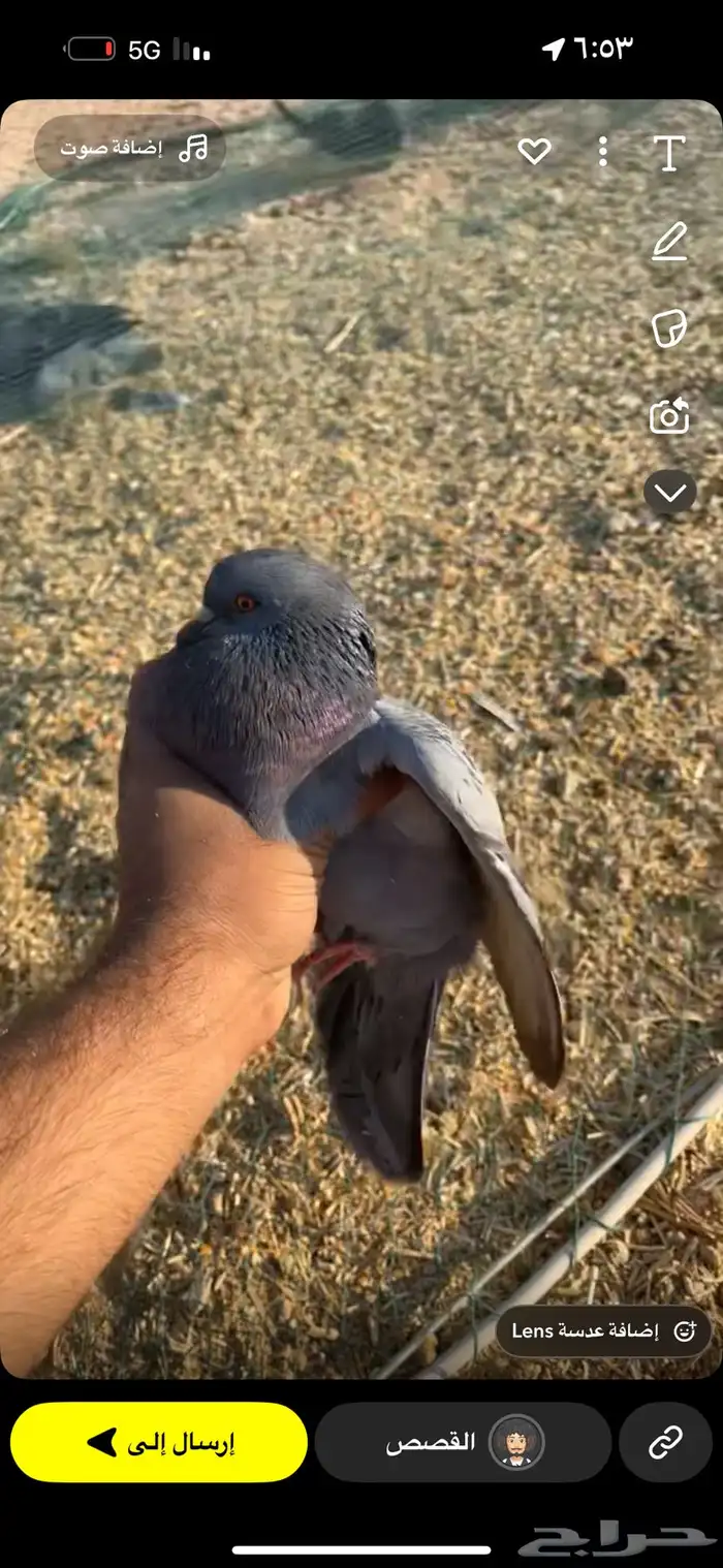 حمام السوادي 0