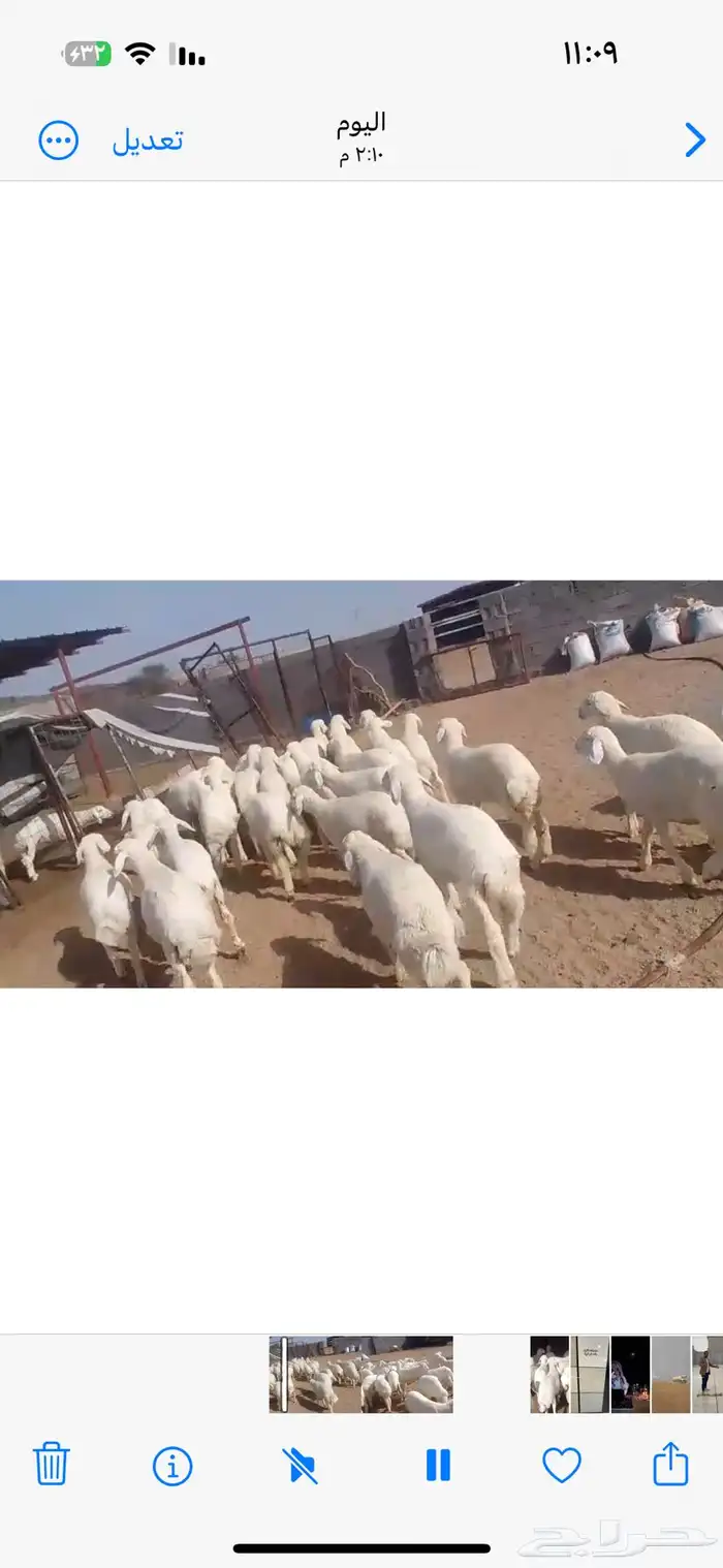 رحال تصلح مقنا لتكوين مراح طيب 3