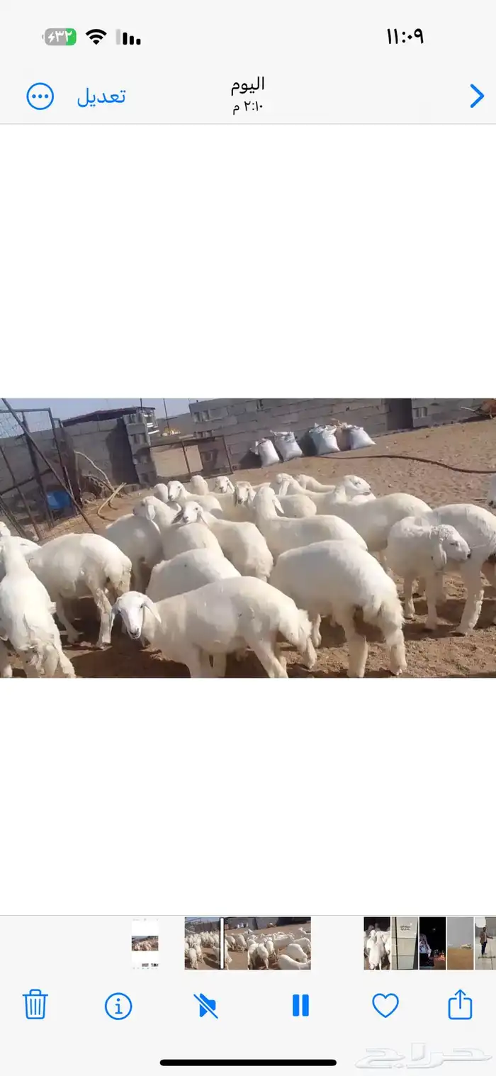 رحال تصلح مقنا لتكوين مراح طيب 2