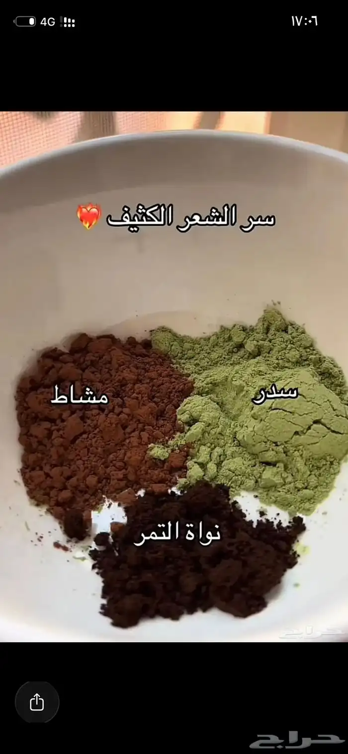 للبيع حناء المدينة المنورة ينبع النخل و سدر و ملوخيه 0