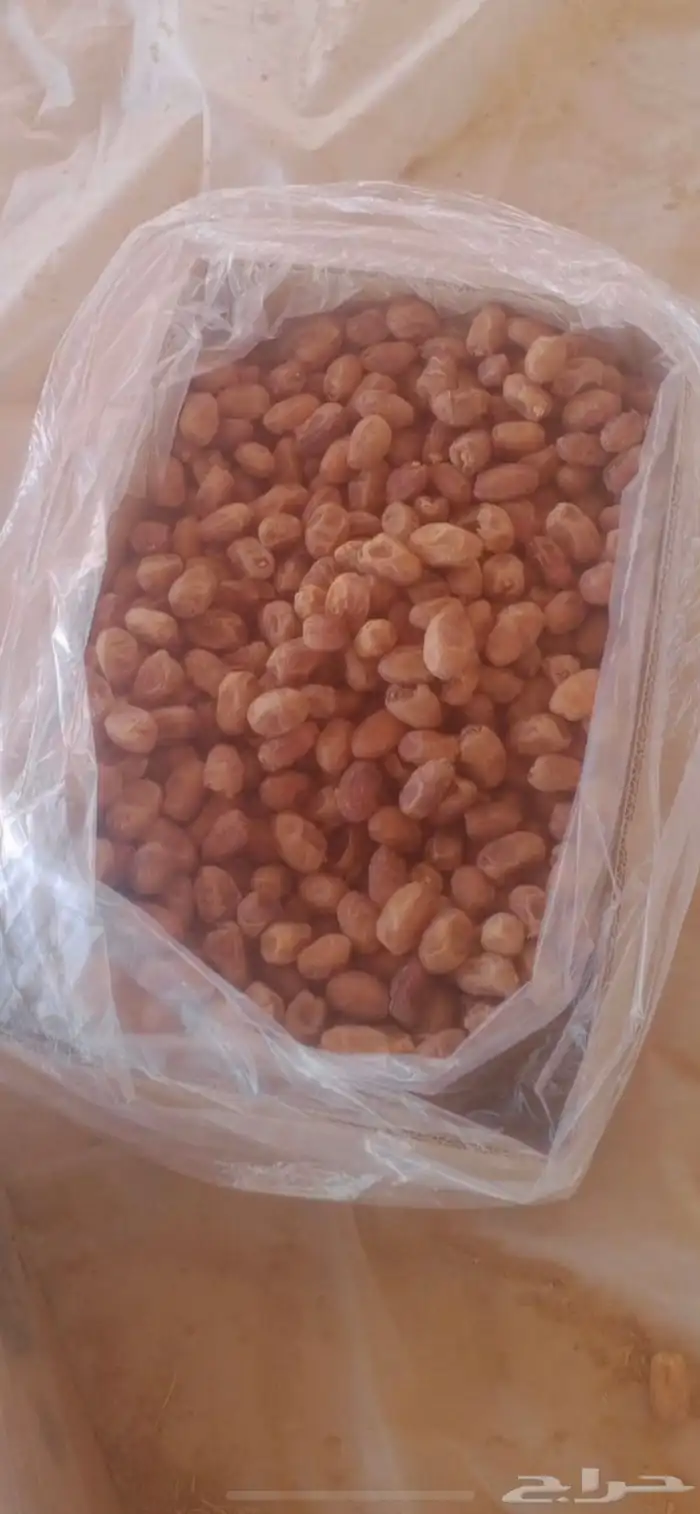 180 كرتون تمر خلاص للبيع 1