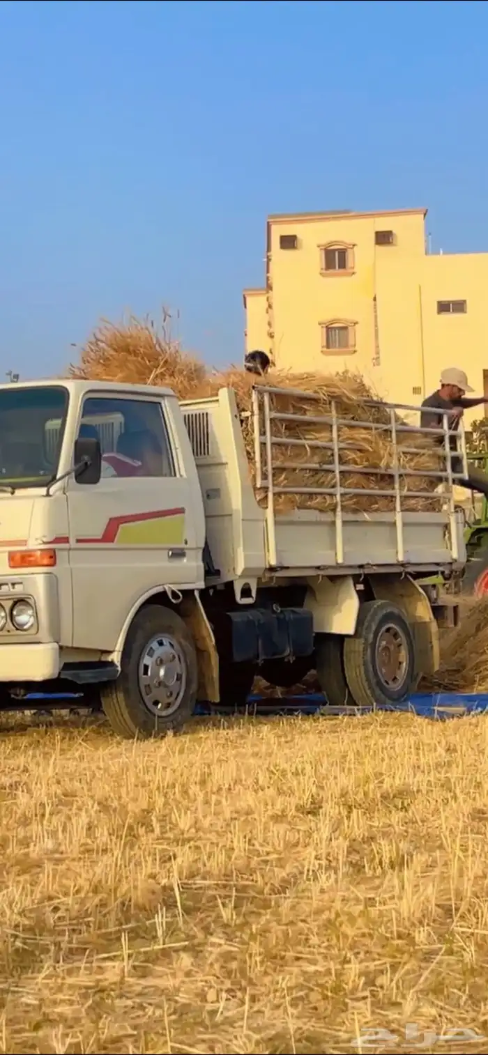 قلاب 82 0