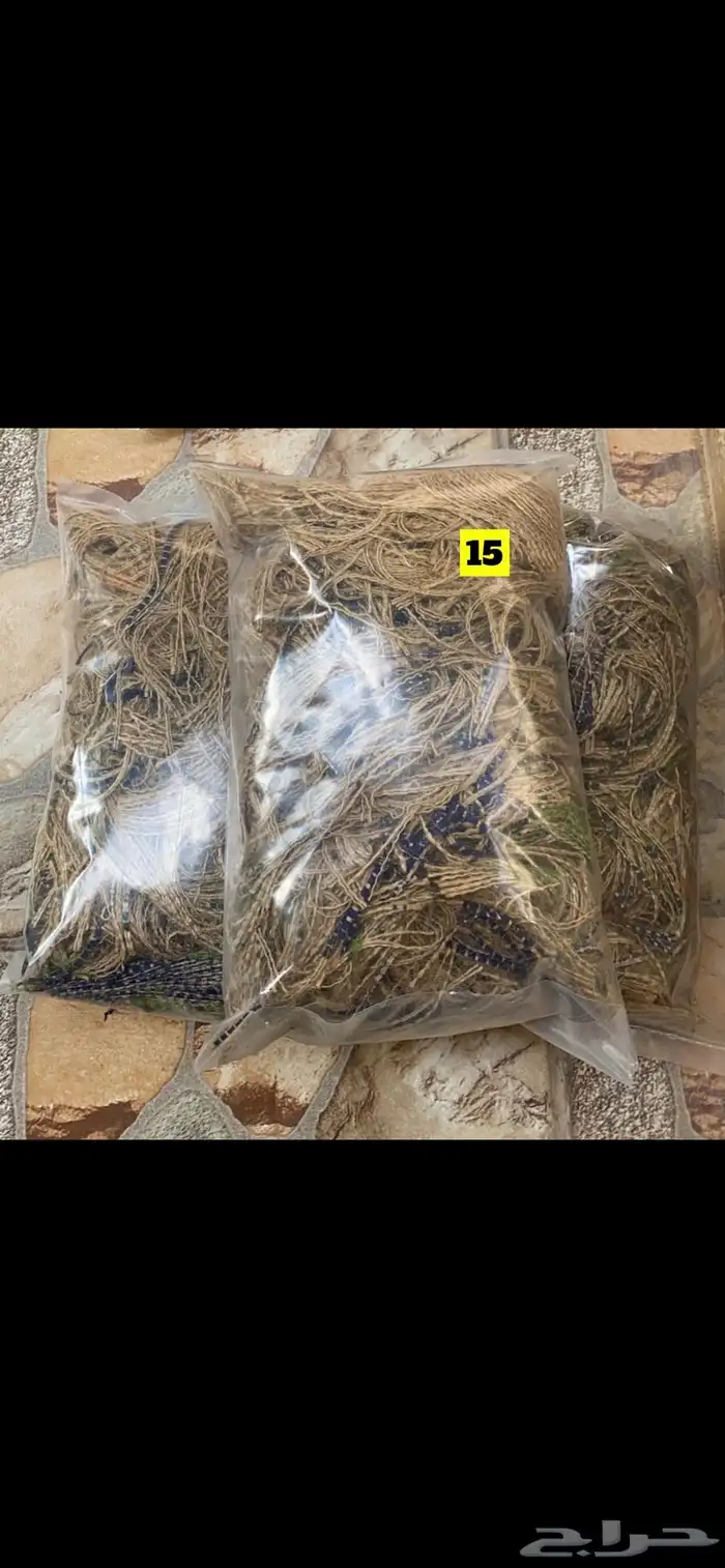 اكل طيور زينة مليسا دخن 5