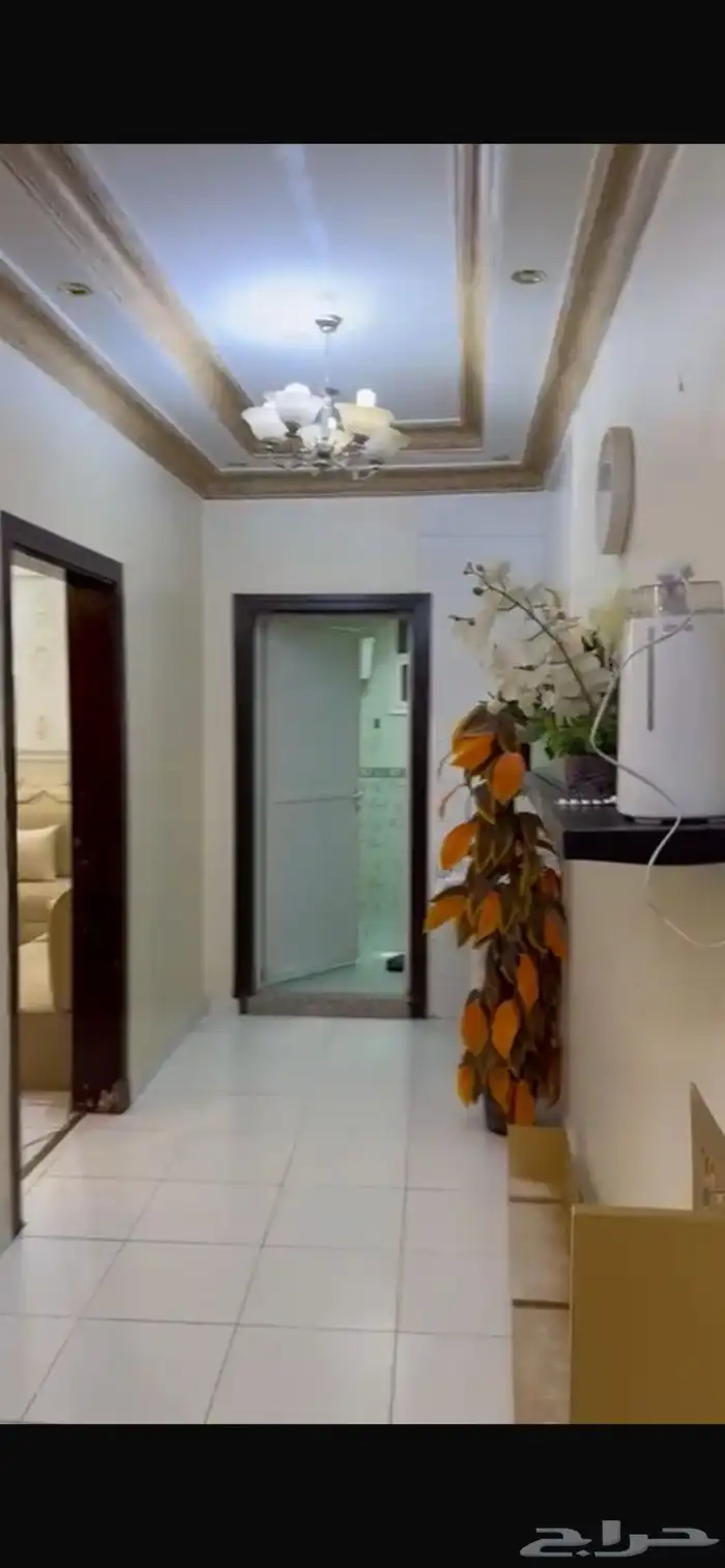 شقه للبيع 7