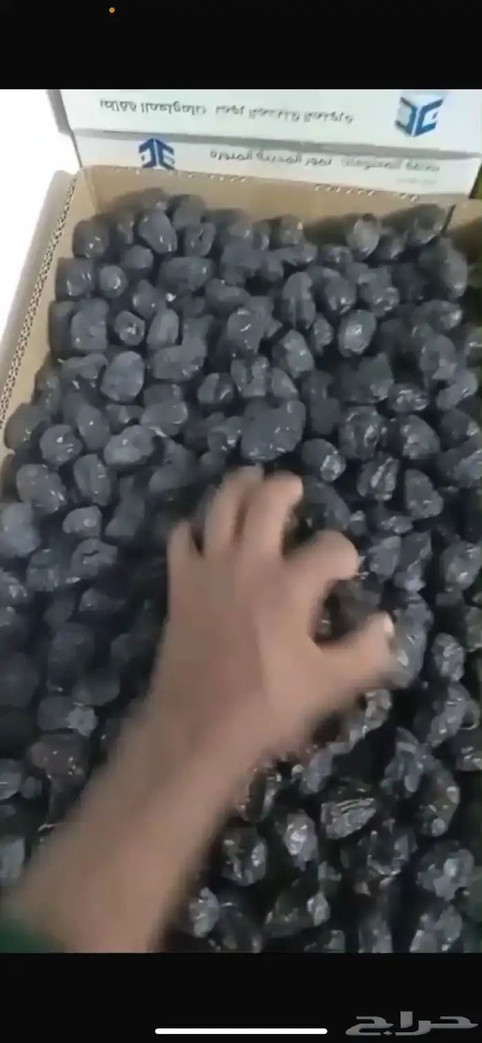 تمور عجوه 1