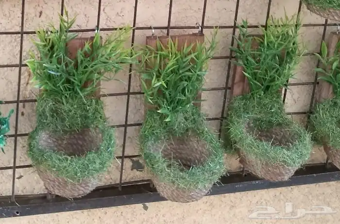 اعشاش للطيور الكناري والحسون صنع يدوي 3