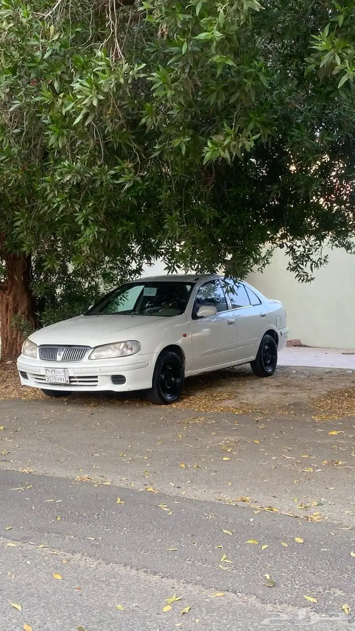 صني2003 4