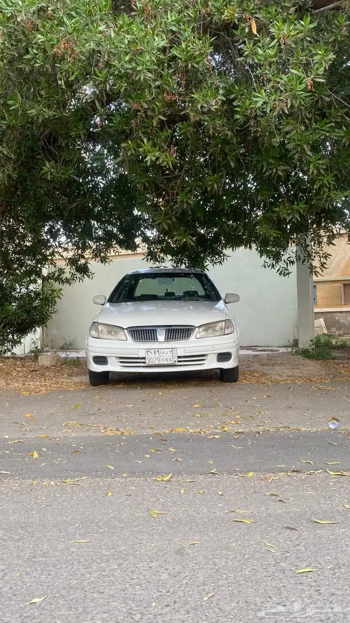 صني2003 1