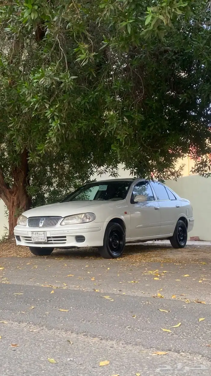 صني2003 5