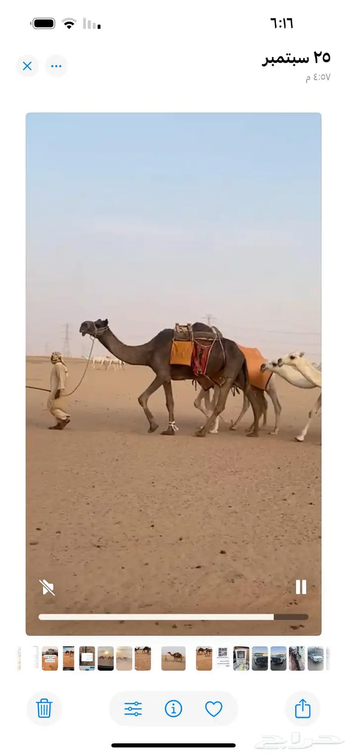 رحول آبل شرط 0