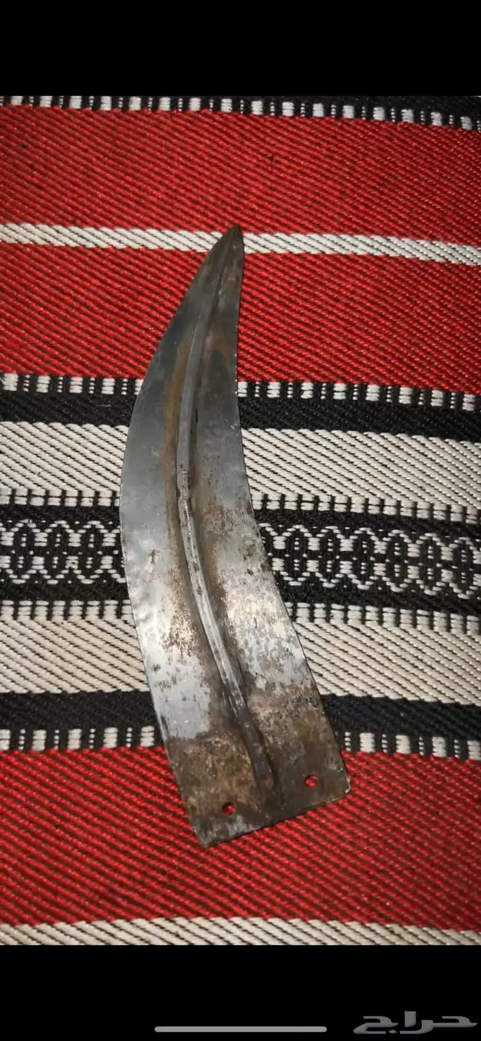 سله جنبيه ( مسمار ) 0