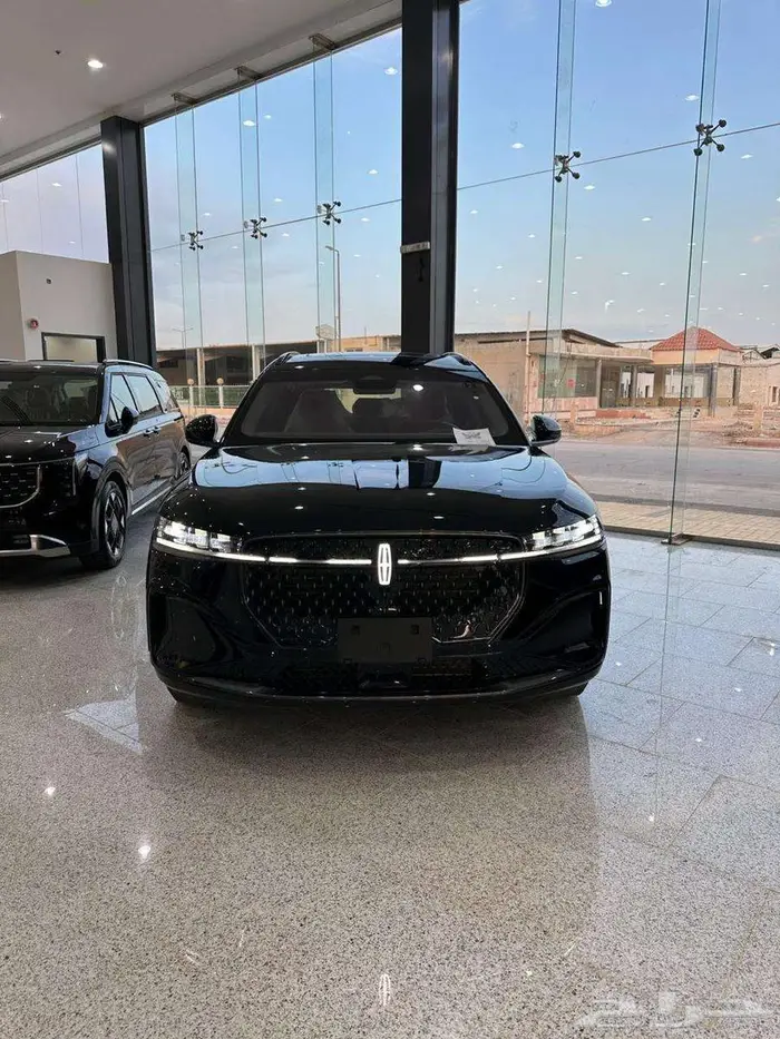 لينكون نيتلوس 22