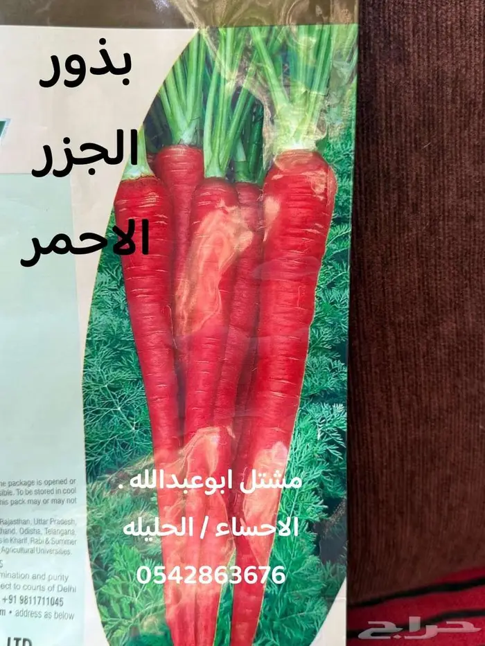 النبته الهوائيه   نخله داخليه   نبتة بشيرا   هرمون تجذير 3