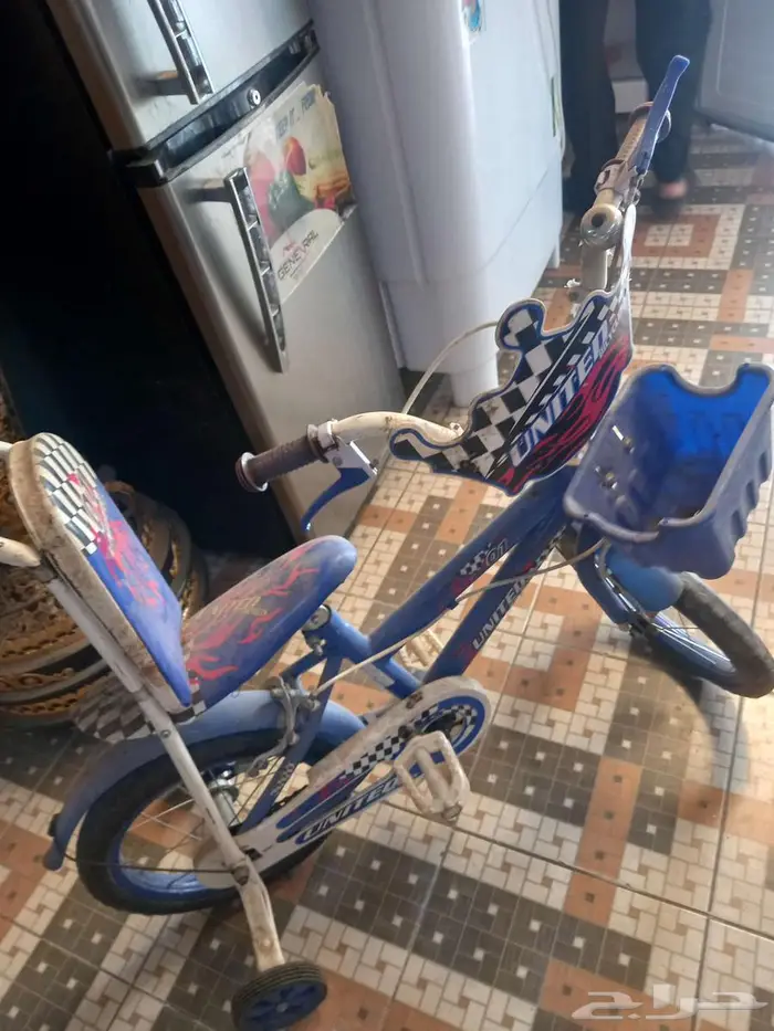 دجاجتين هوائية 1