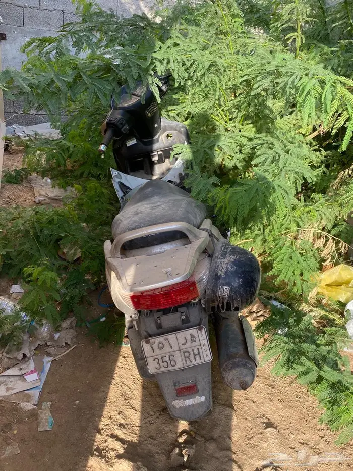 دباب عجيب 6