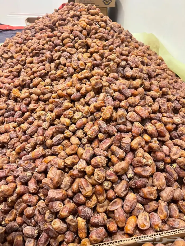 تمر اخلاص نثري 0