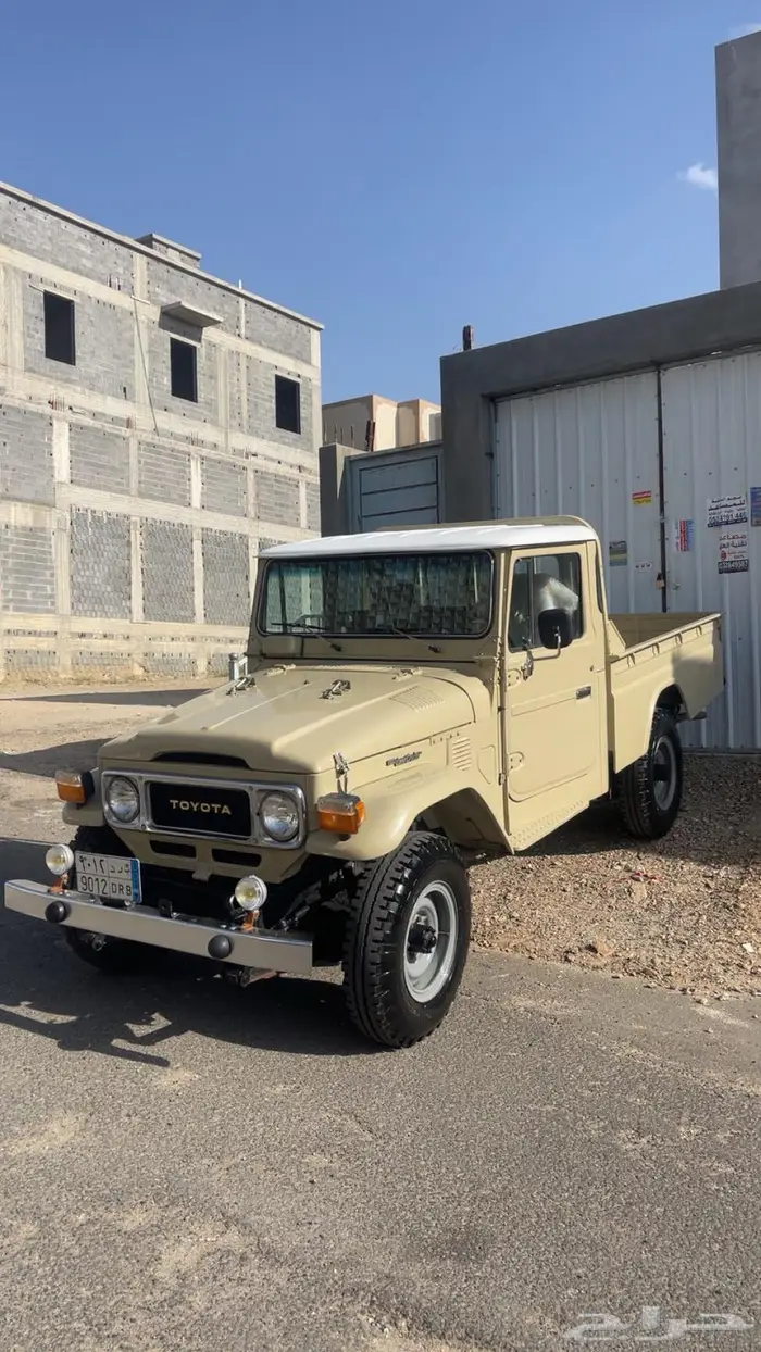 شاص 83 1
