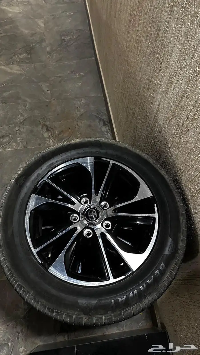 Gxr2021 جنوط وزوائد 1