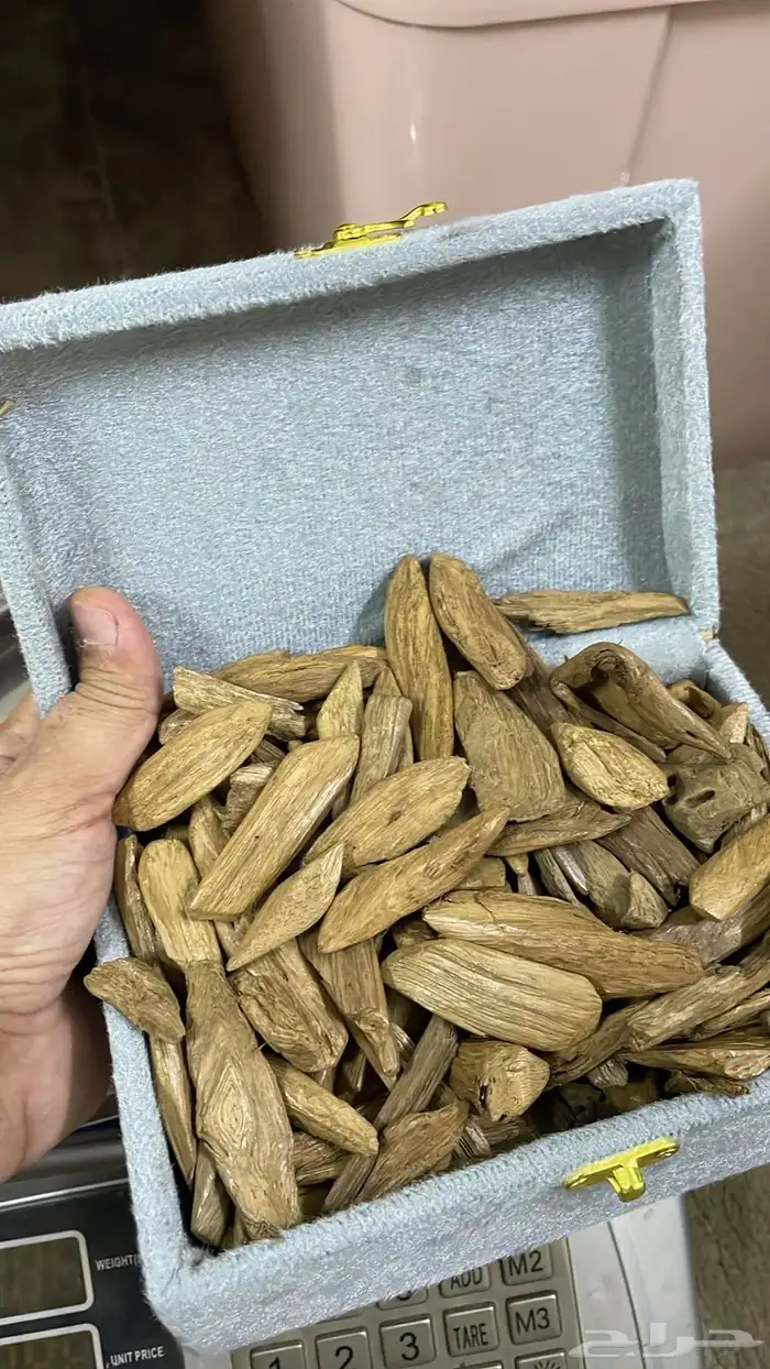 عود طبيعي موروكي سعر جمله 0