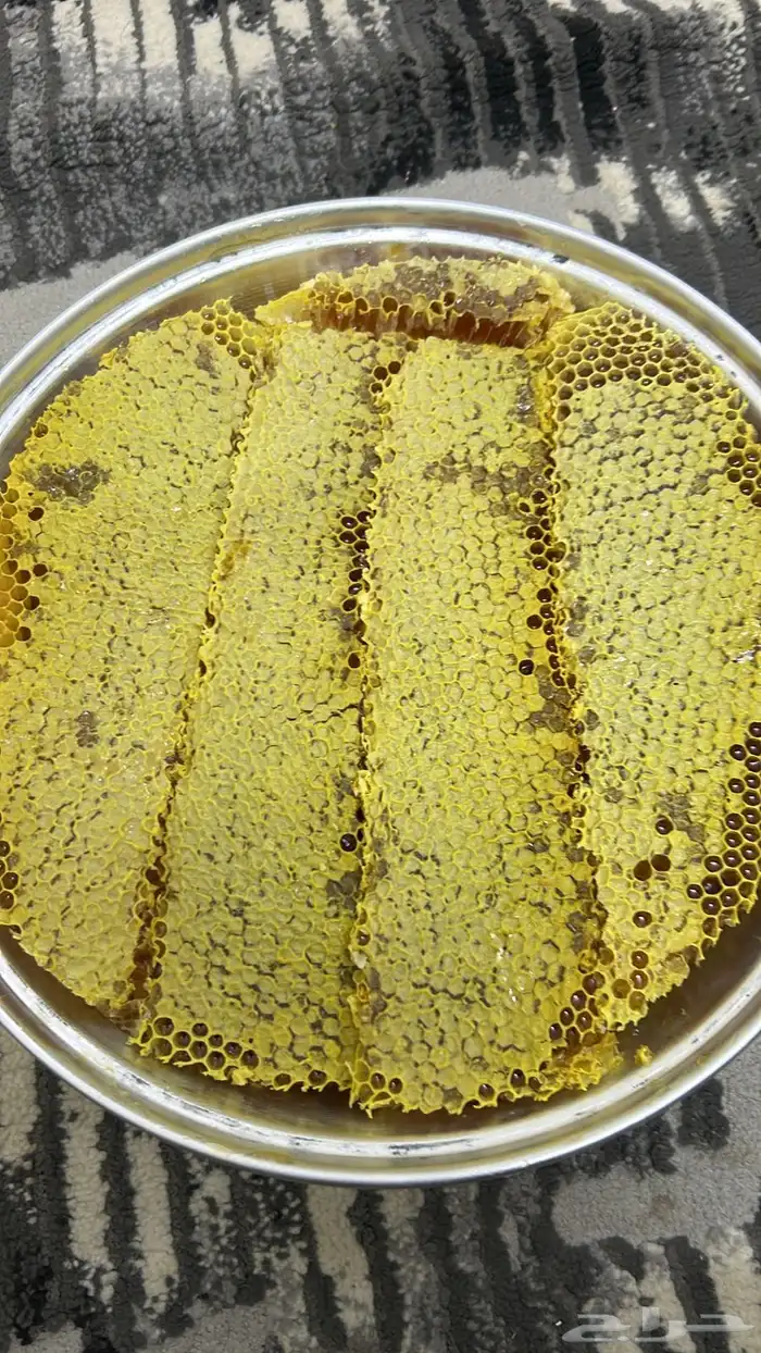 عسل سدر مع القرضه 0