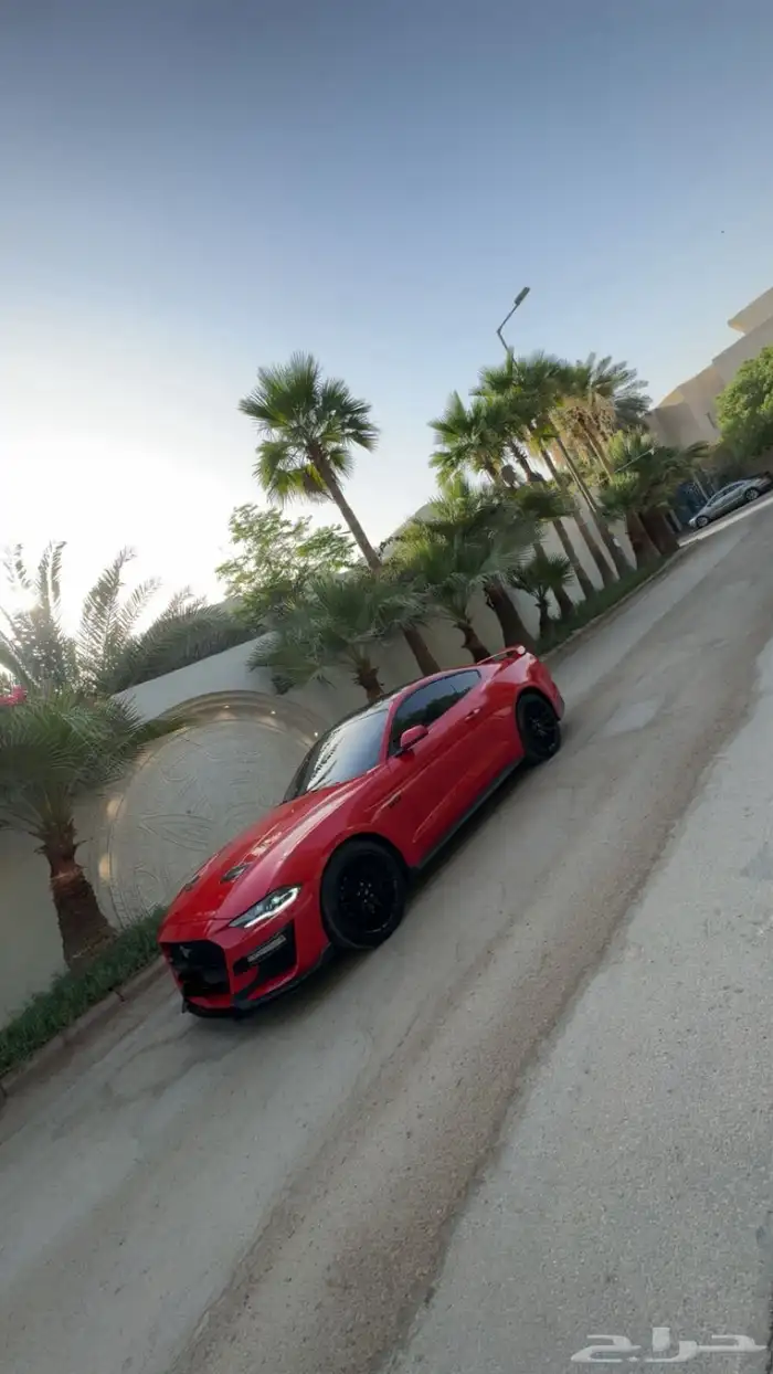 موستنج 2019 فل كامل 8