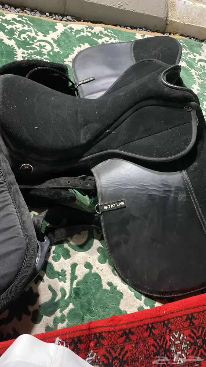 سرج خيل 0