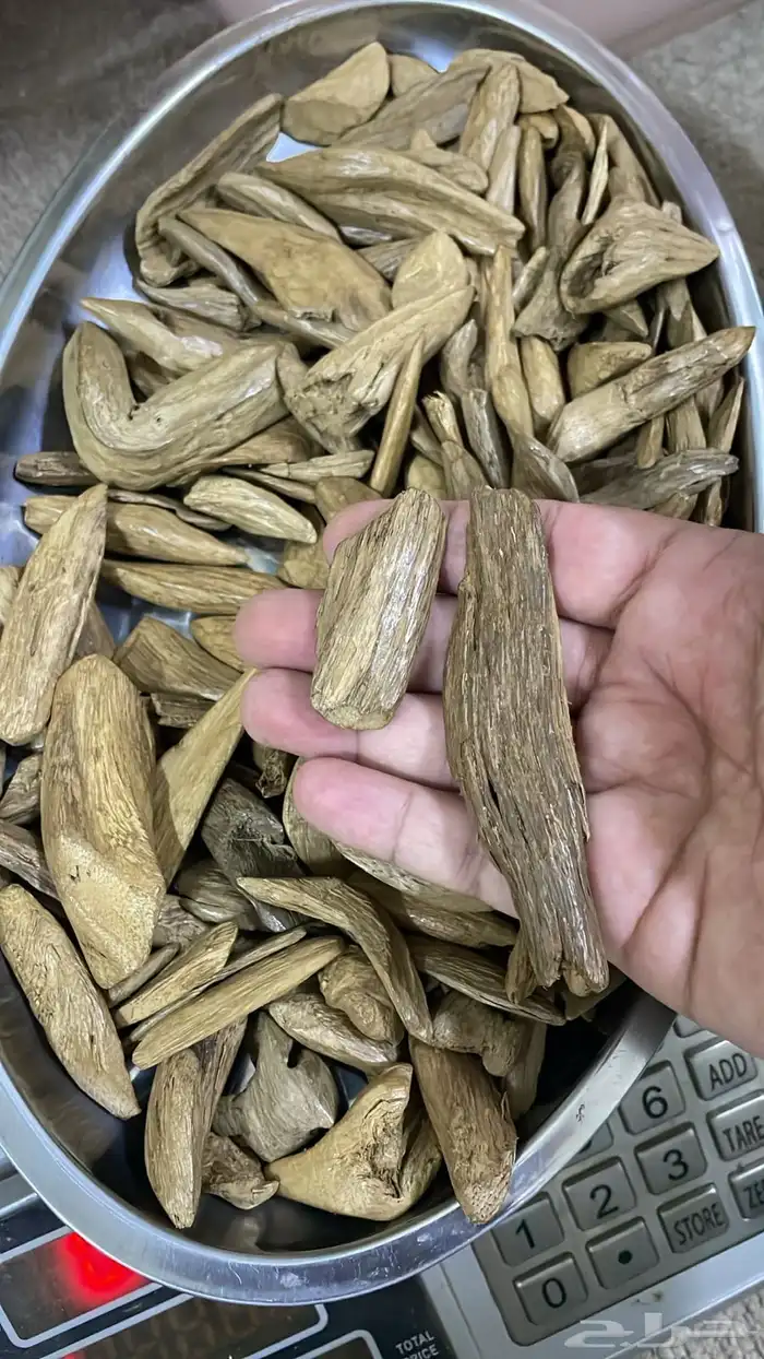 عود طبيعي موروكي سعر جمله 1