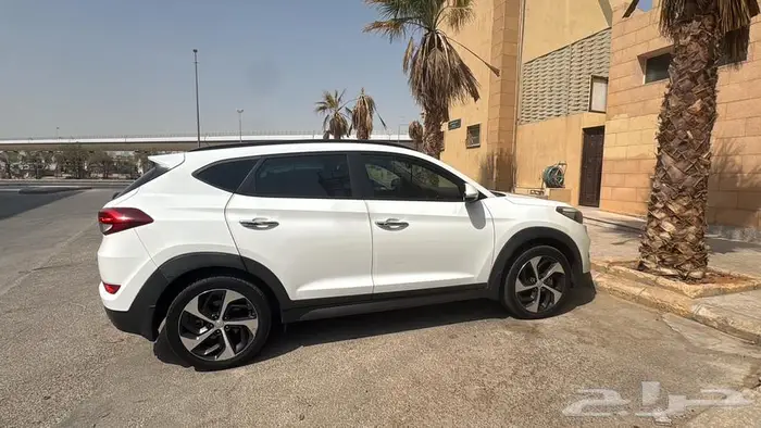 الخبر 4