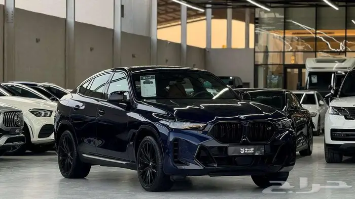 2024بي ام دبليو اكس6 BMW X6 M60I 0