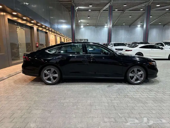 اكورد __ نص فل __ 2025 4