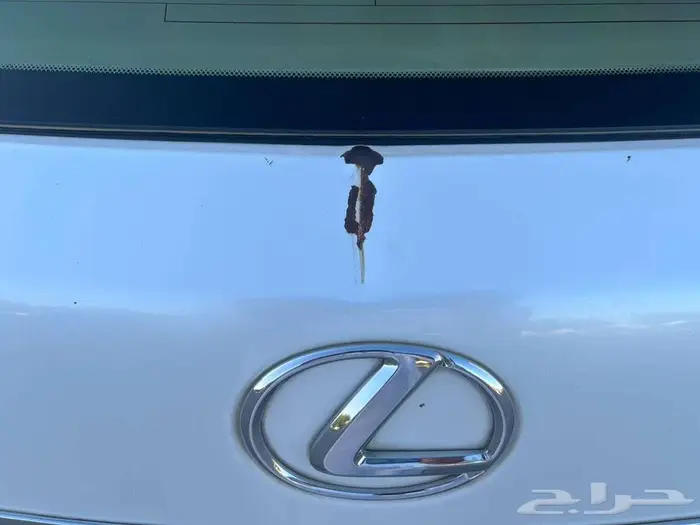 لكزس RX 350 أبيض 2014 7