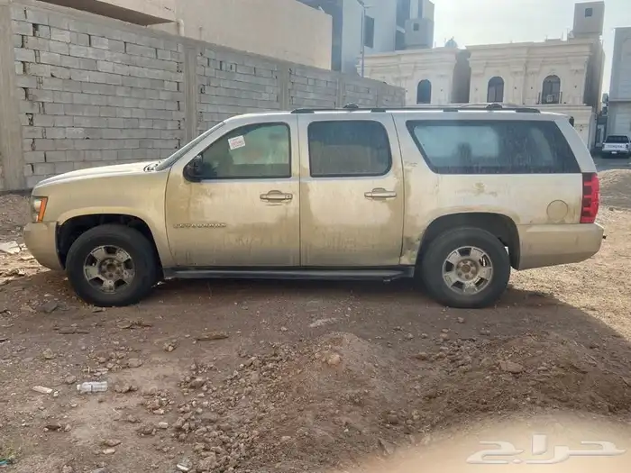 جمس غير مفحوص وغير مجدد 1