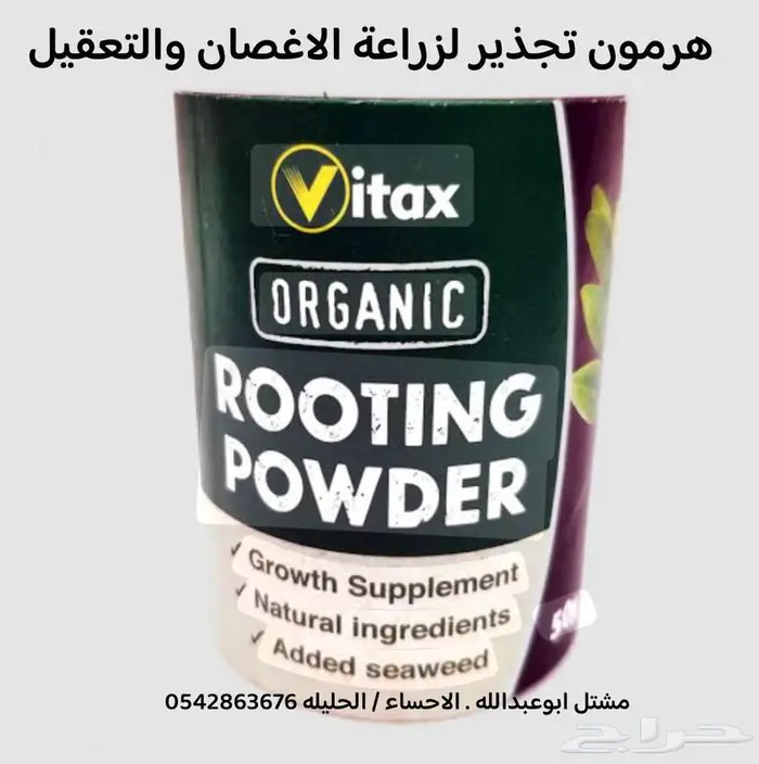 النبته الهوائيه   نخله داخليه   نبتة بشيرا   هرمون تجذير 0