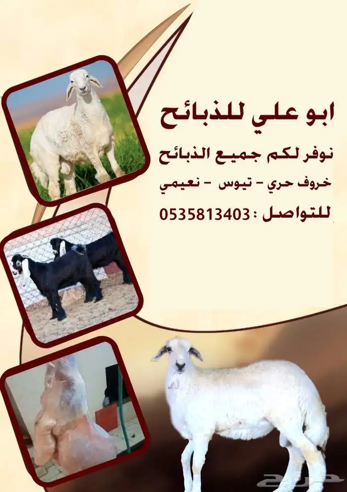 ذبايح 0