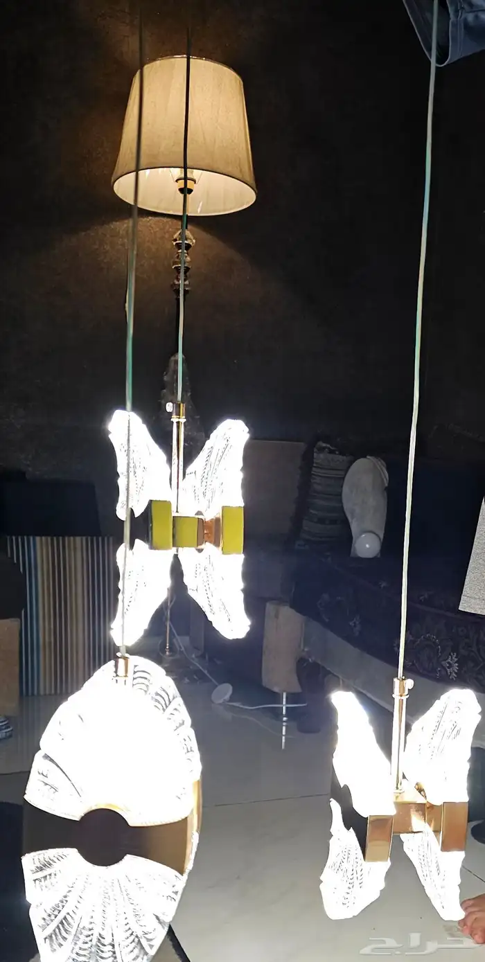 نجف وابجورات 1