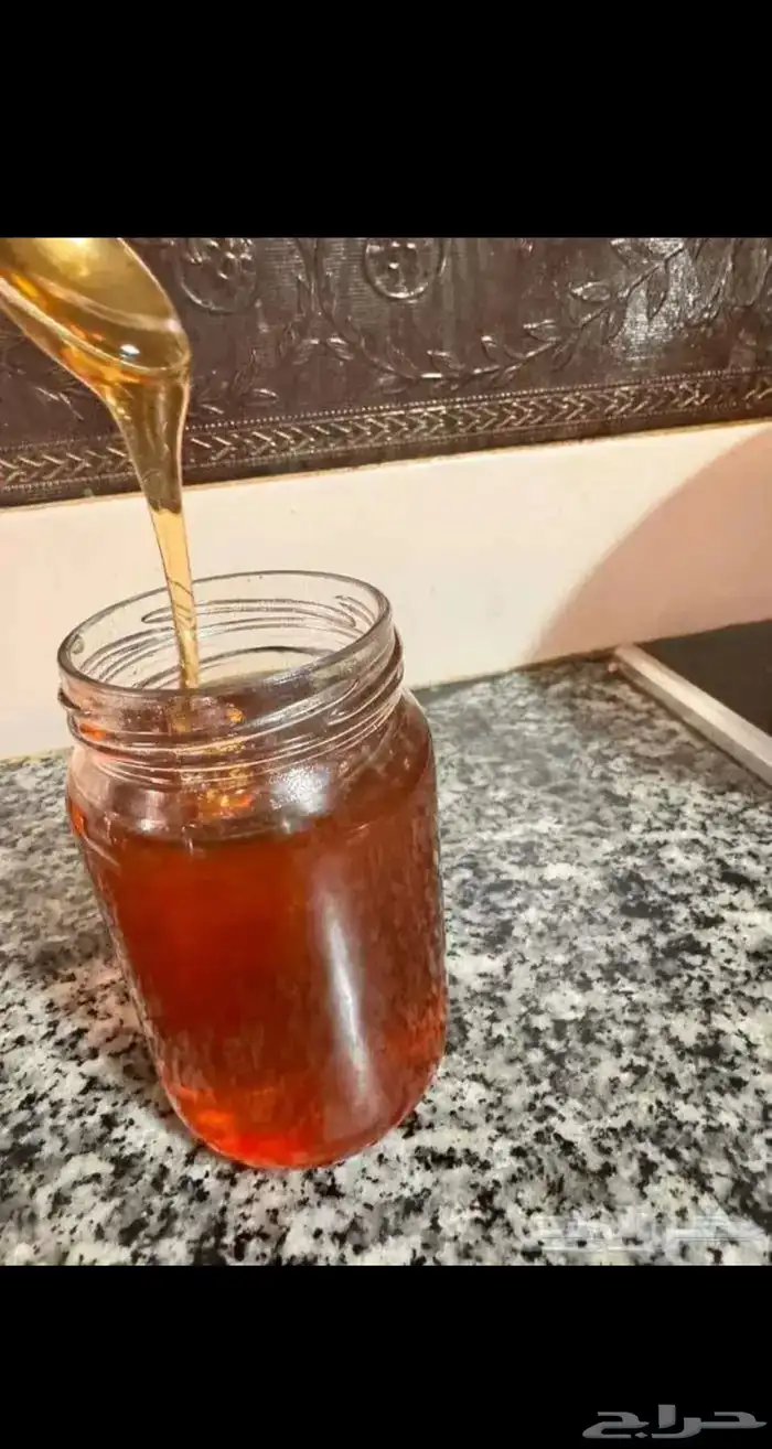 pure 100  Tunisian sidr honey 3