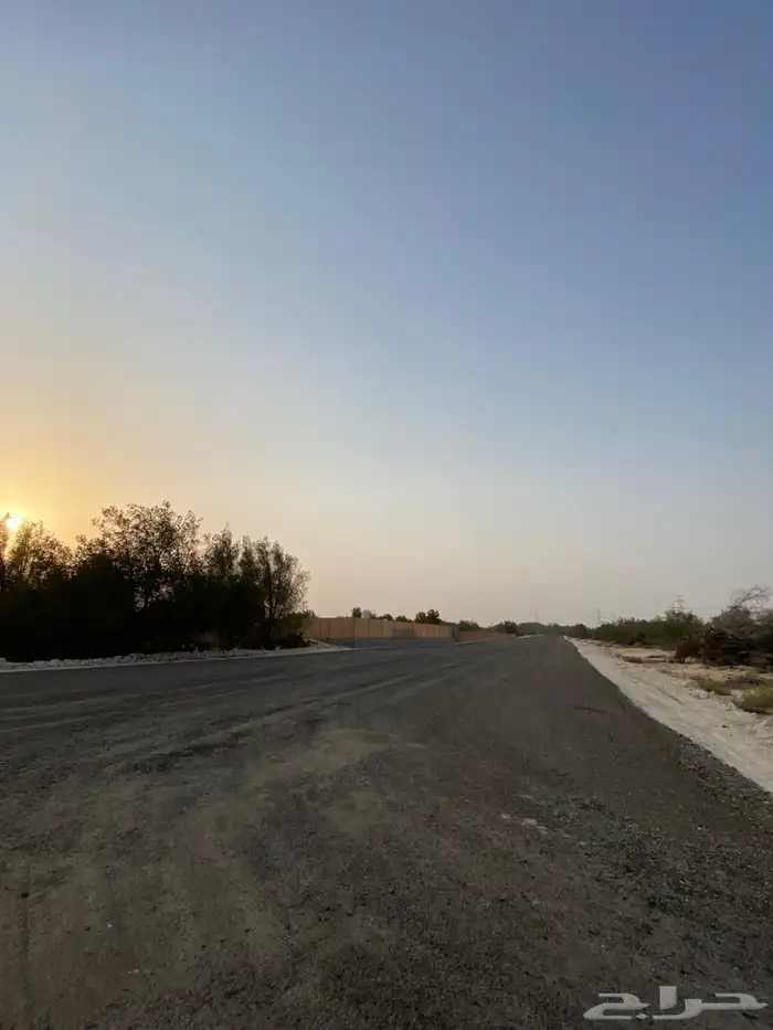 بدء. التاجير اراضي زراعية طريق الرياض الجبيل 13