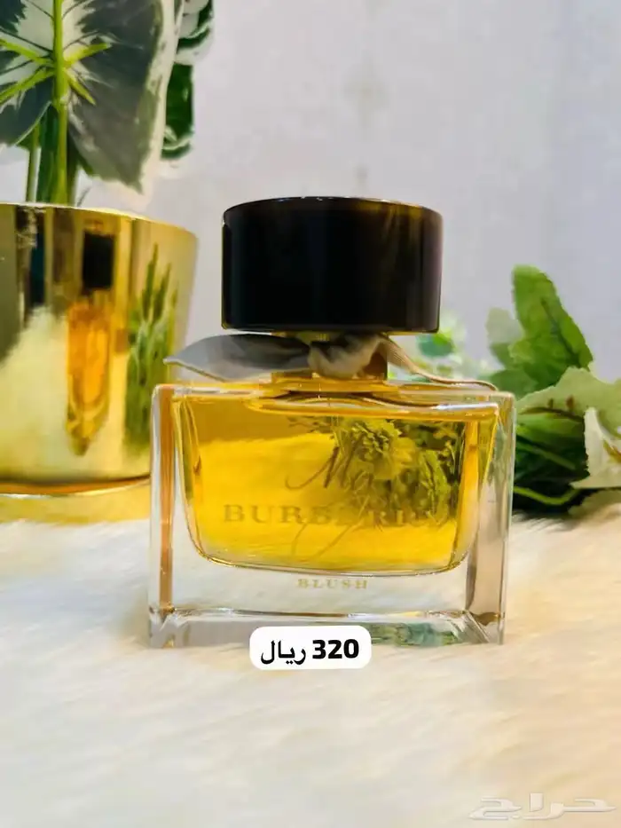 عطورات تستر بأسعار مميزة - جودة عاليه جدا 32